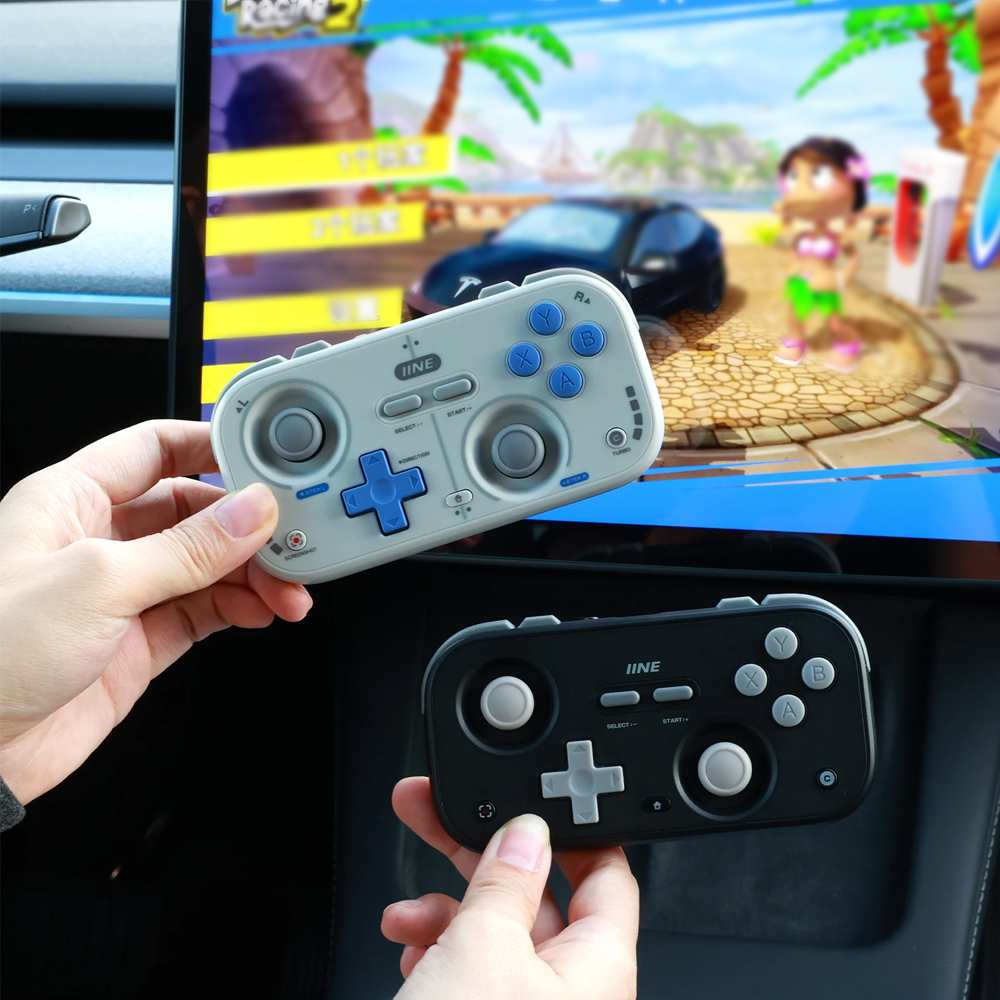 Retro Gaming Controller for Ni - Retro Gaming Realm 评论和价格
